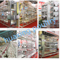 Used galvanized poultry battery chicken cage for Nigeria farm